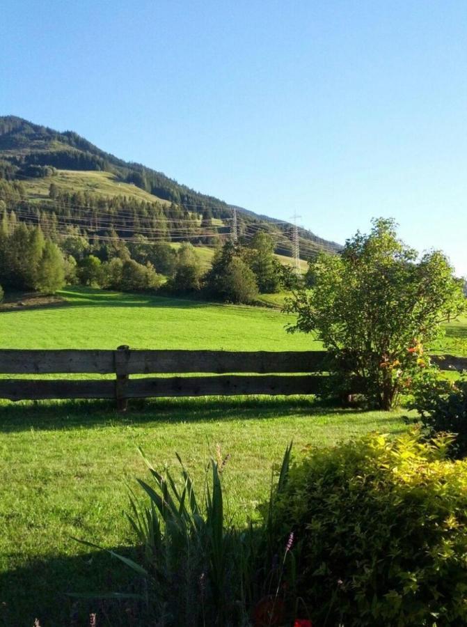 Haus Schreder Lägenhet Saalfelden Exteriör bild