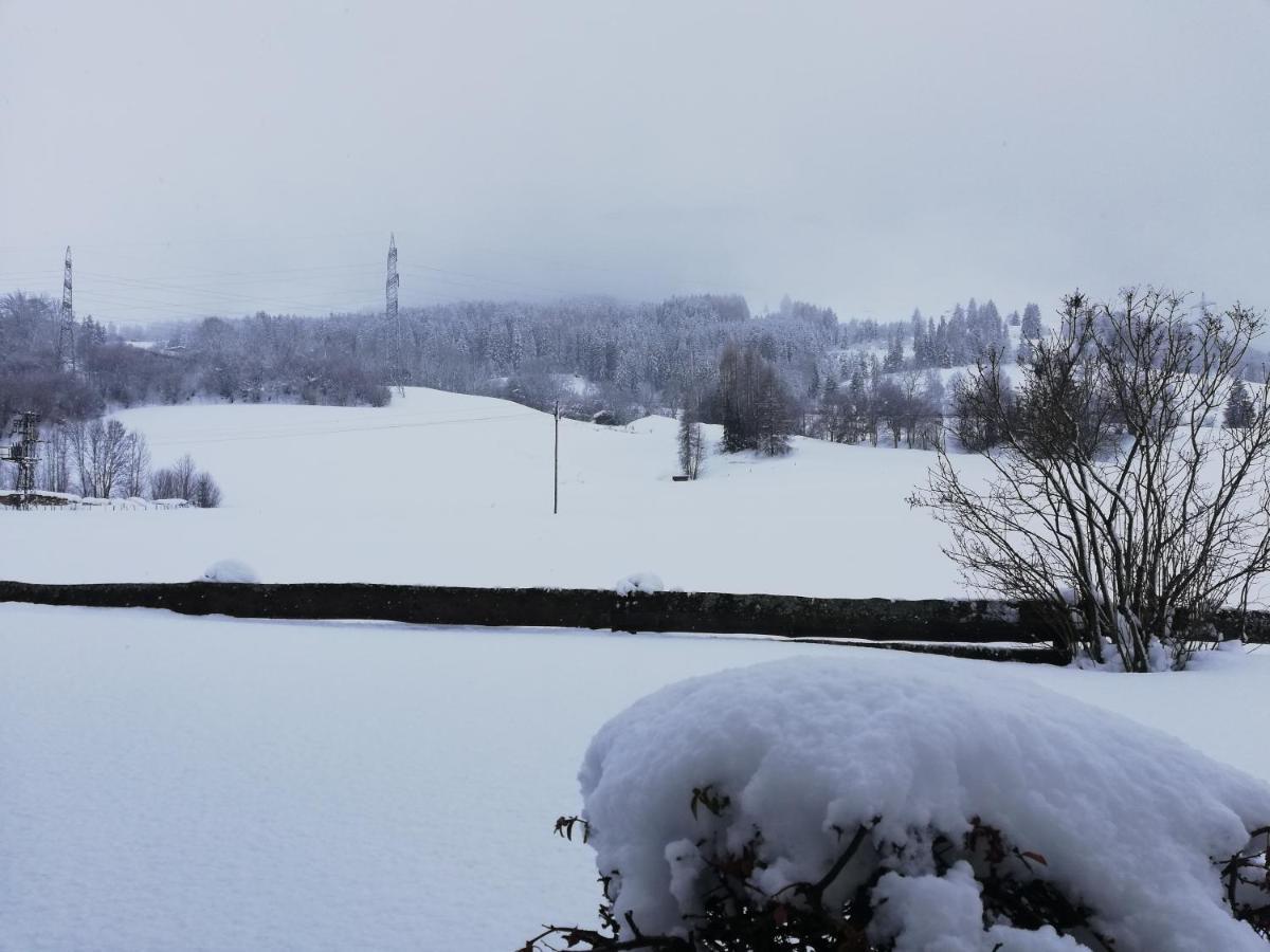 Haus Schreder Lägenhet Saalfelden Exteriör bild