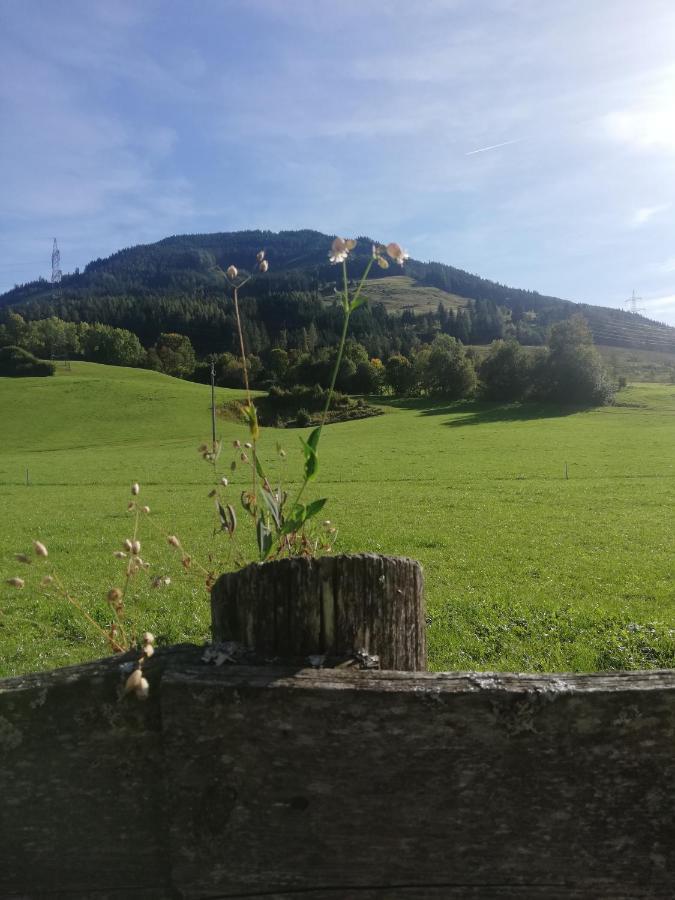 Haus Schreder Lägenhet Saalfelden Exteriör bild